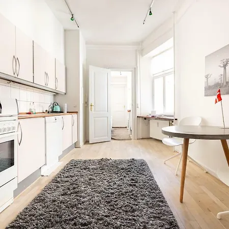 Modern Living In Historical Building Apartment
